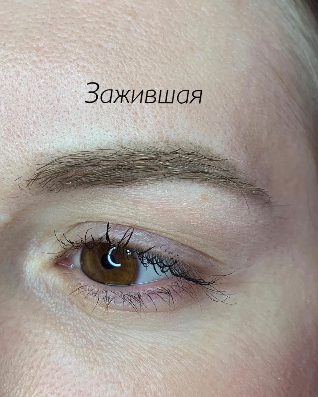 Как выглядит перманентный макияж бровей перед коррекцией|Хабаровск
