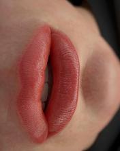 Пудровый макияж губ в Хабаровске